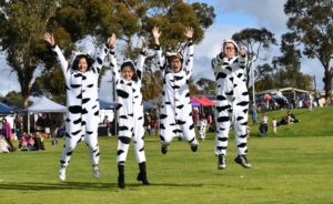 Image at the Deja Moo Festival - cute cow costumes