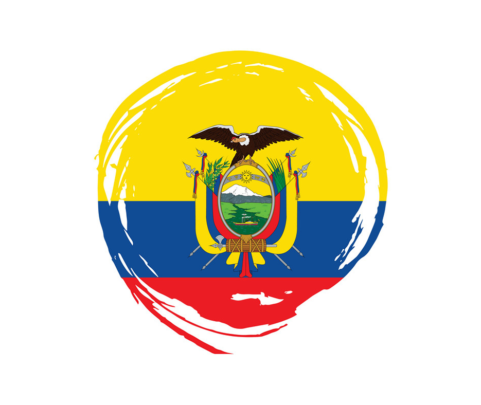 Ecuador Flag Vector 19907874